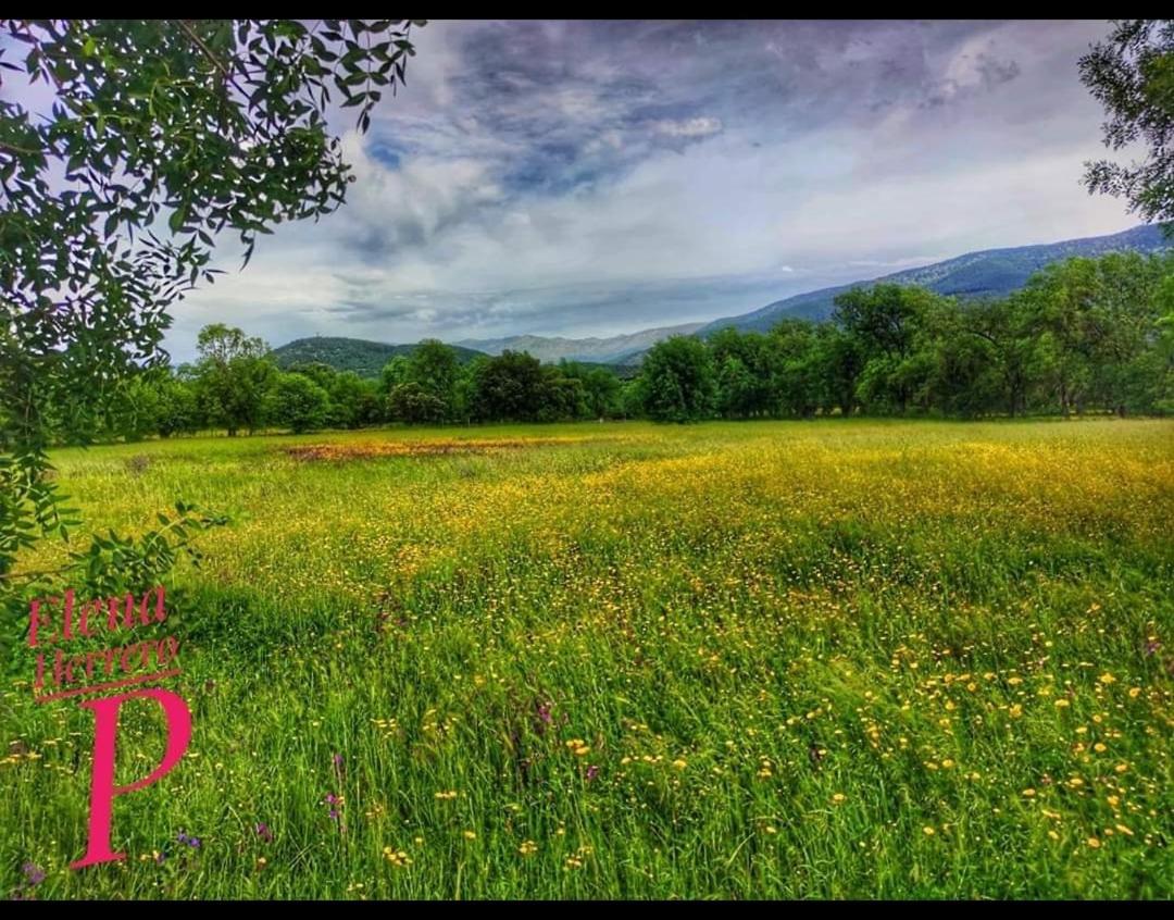 El Rincon De Los Lanchares Сотільйо-де-ла-Адрада Екстер'єр фото